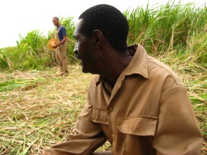 RETABLO COSTUMBRISTA DE UNA REALIDAD CAMBIANTE